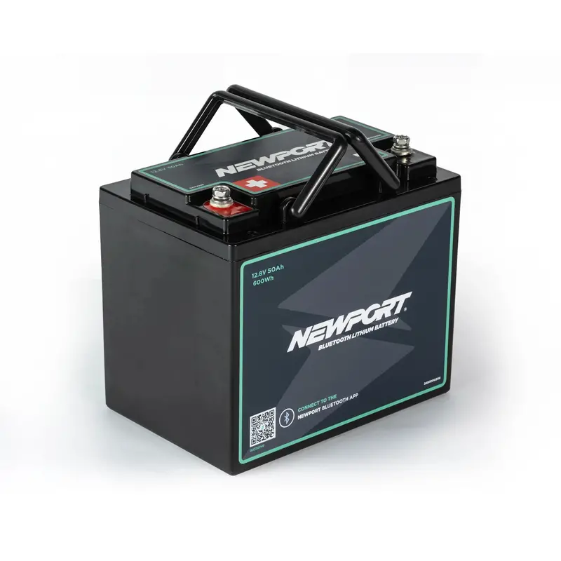 12V 50Ah Lithium Iron Phosphate (Lifepo4) Battery 1