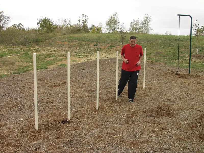 Agility Pole Set – Marking And Drills For Sports Performance 1