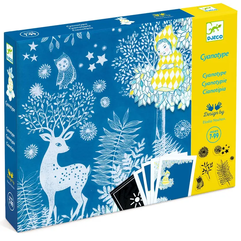 Djeco Cyanotype Art Kit: 'Au Clair De La Lune' – Sunprint Craft For Ages 7+ 1