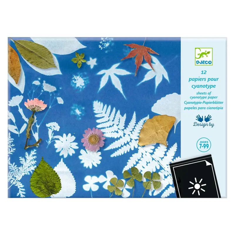 Djeco Cyanotype Sun Print Paper Kit (Ages 7–99) 1