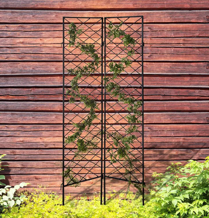 Katerina Architectural Trellis Screen – 72" Tall Wrought Iron Garden Divider With Dual Panels And Base Feet 1