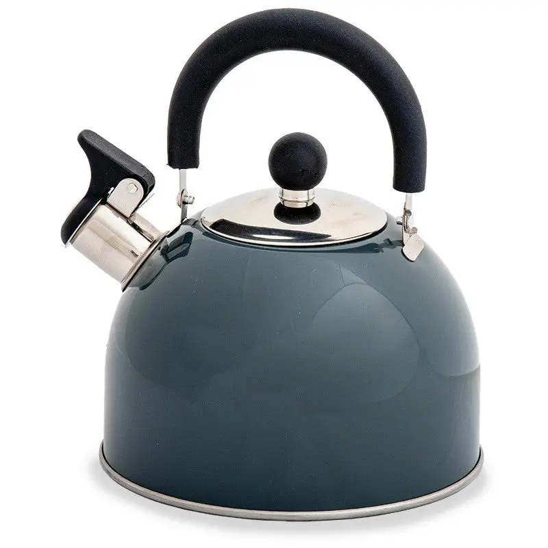 Quest Hamilton 2L Whistling Kettle – Slate Stainless Steel Design 1